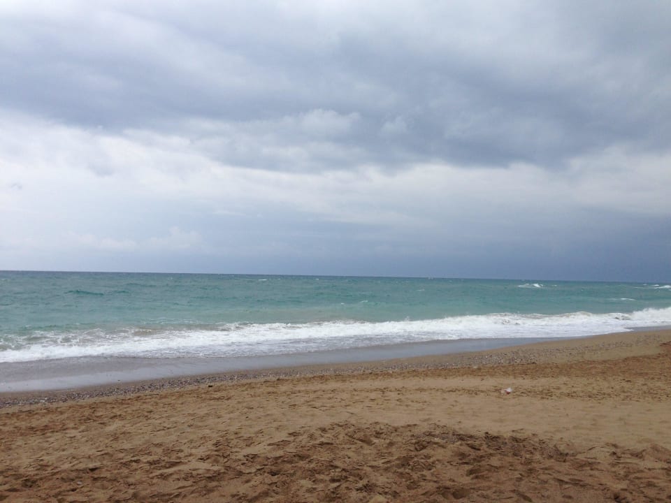  Strand Asteria Collection Side