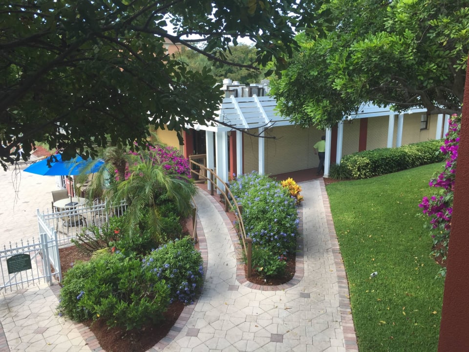 Pool Hotel Ramada Inn of Naples