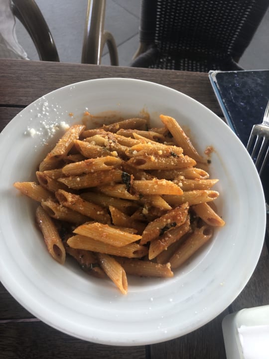 Gastro Royal Seginus