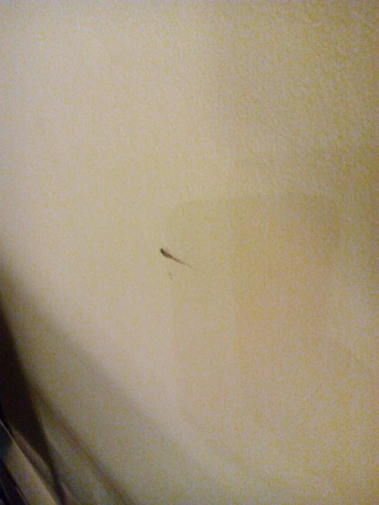 Zimmer / Wand Atlantica Mikri Poli Kos