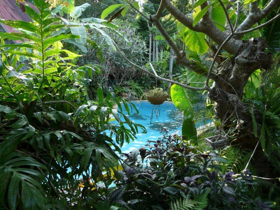 Der Pool Little Eden Guesthouse