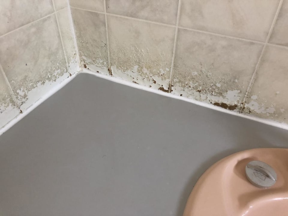 Zimmer Bay Lodge YHA