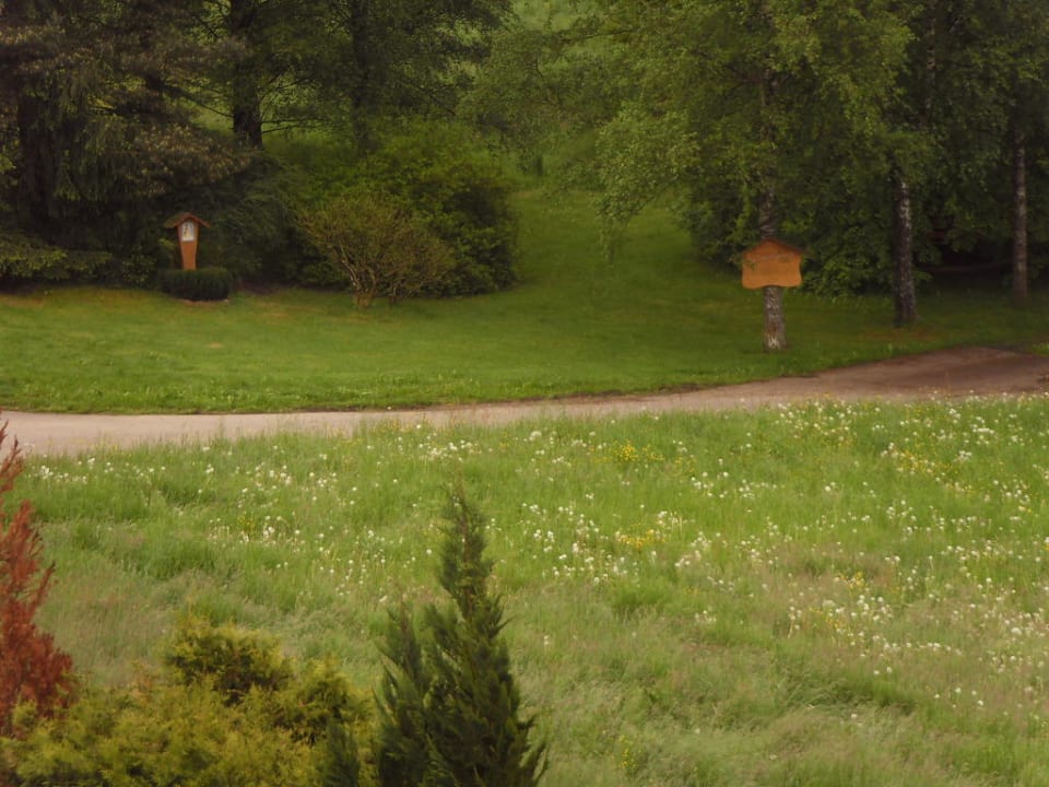So einen schönen  Ausblick hatten wir Silberkönig Schwarzwald Hotel & Restaurant Ringhotel