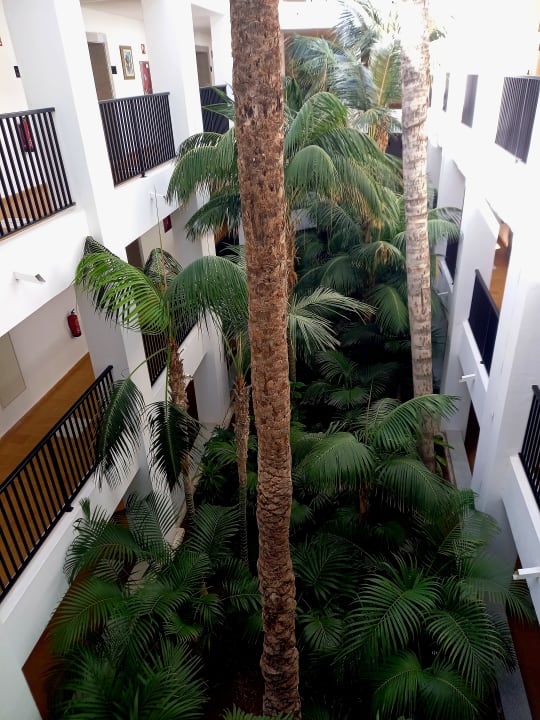 Ausblick Hotel Riu Palace Maspalomas Adults Only