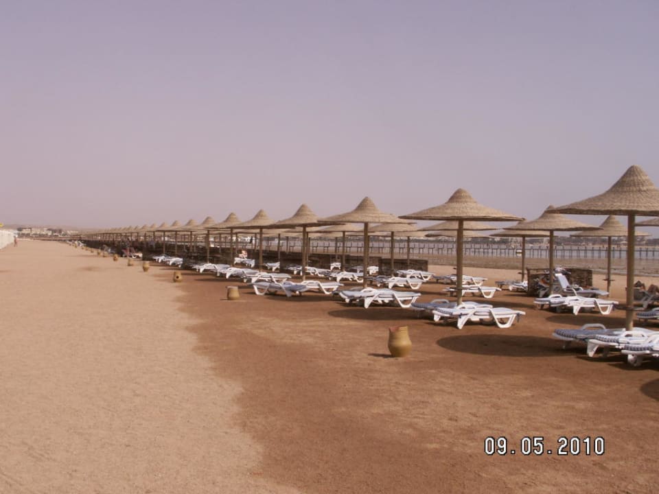 Strand mit Liegen Stella Beach Resort & Spa Makadi Bay