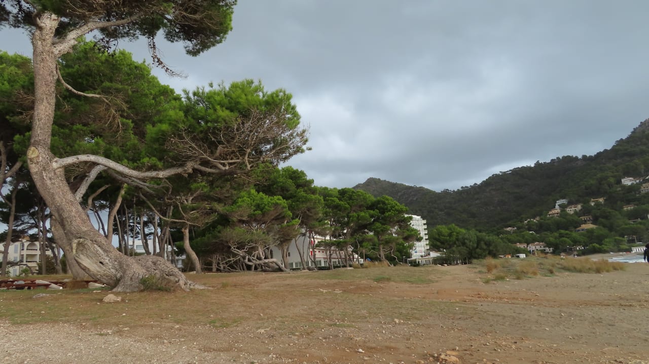 Strand Melbeach Hotel & Spa - Adults only