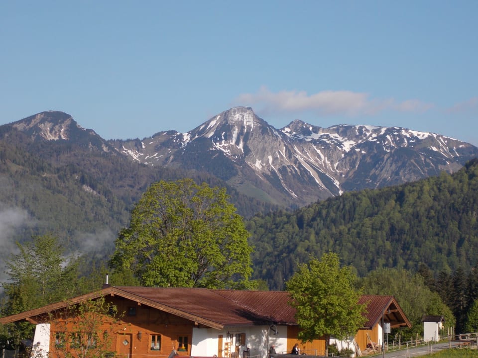 Blick über den Reitstall in die Tiroler Berge Wohlfühlresort Peternhof