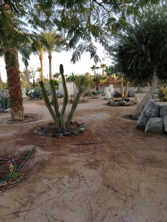 Gartenanlage Steigenberger Aqua Magic