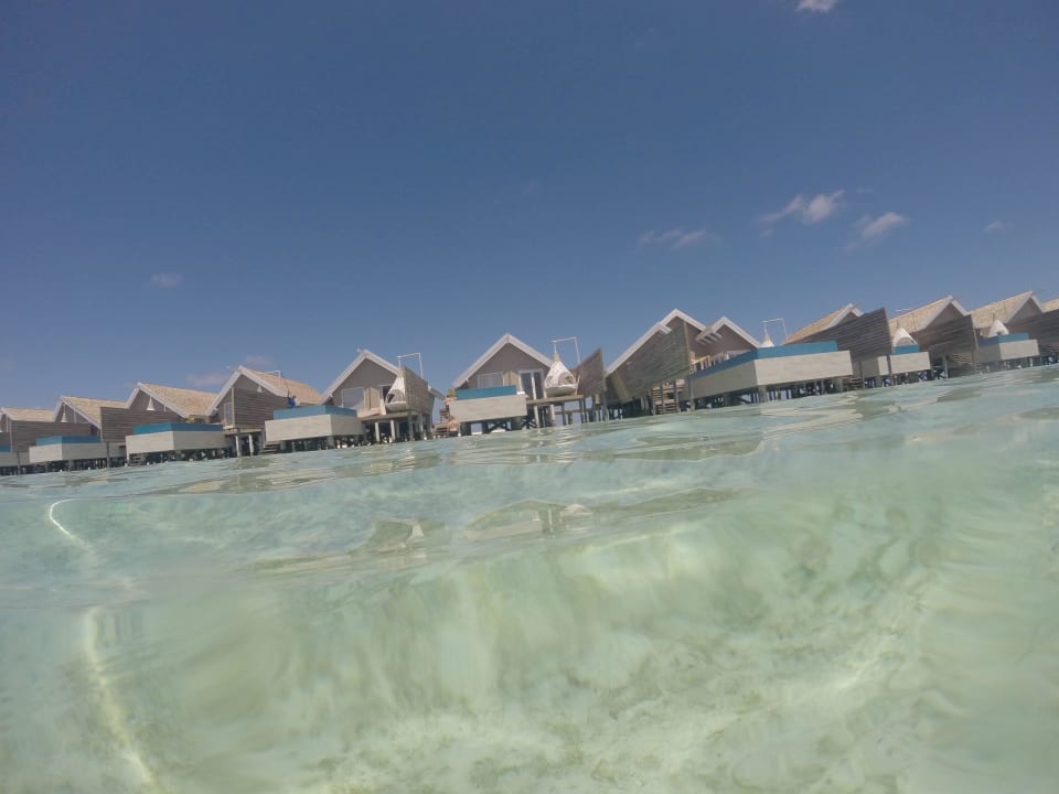 Unsere Beach Villa LUX South Ari Atoll