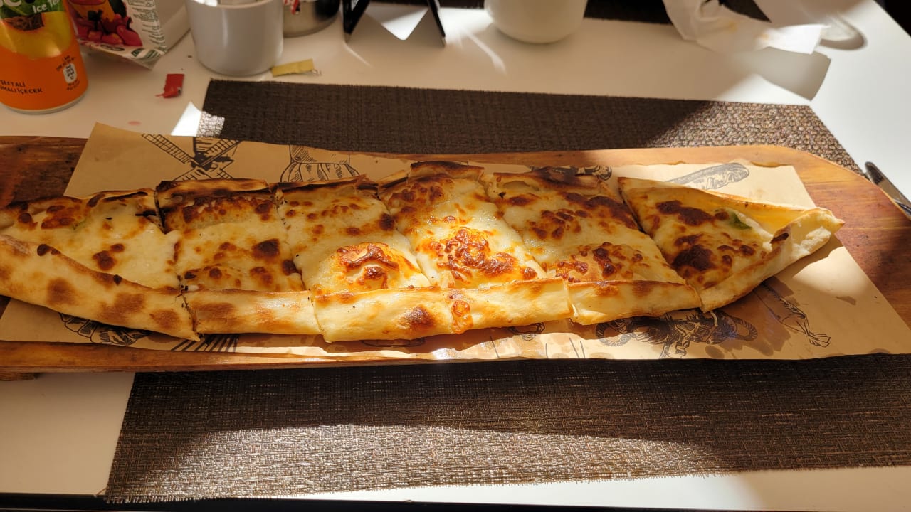 Gastro Seashell Vega