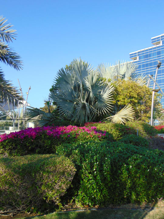 Gartenanlage The Art Hotel & Resort