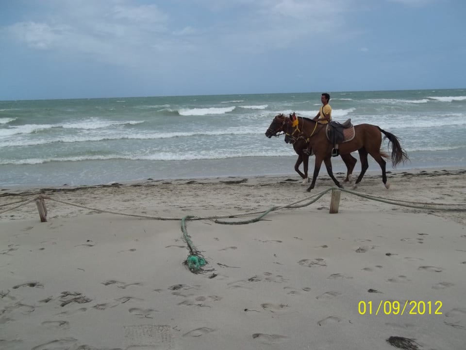 Aktivitäten Djerba Aqua Resort
