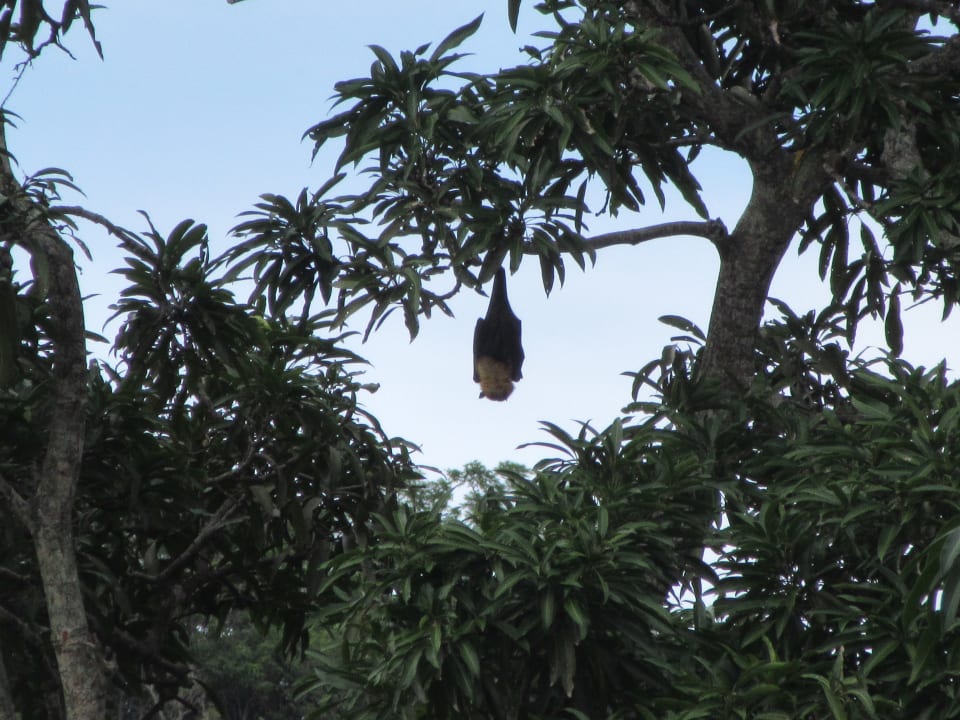 Ausblick Villa Verdure