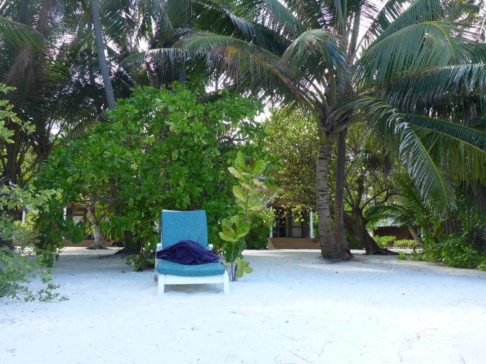 Vom Strand in Richtung 400er Reihe Meeru Maldives Resort Island