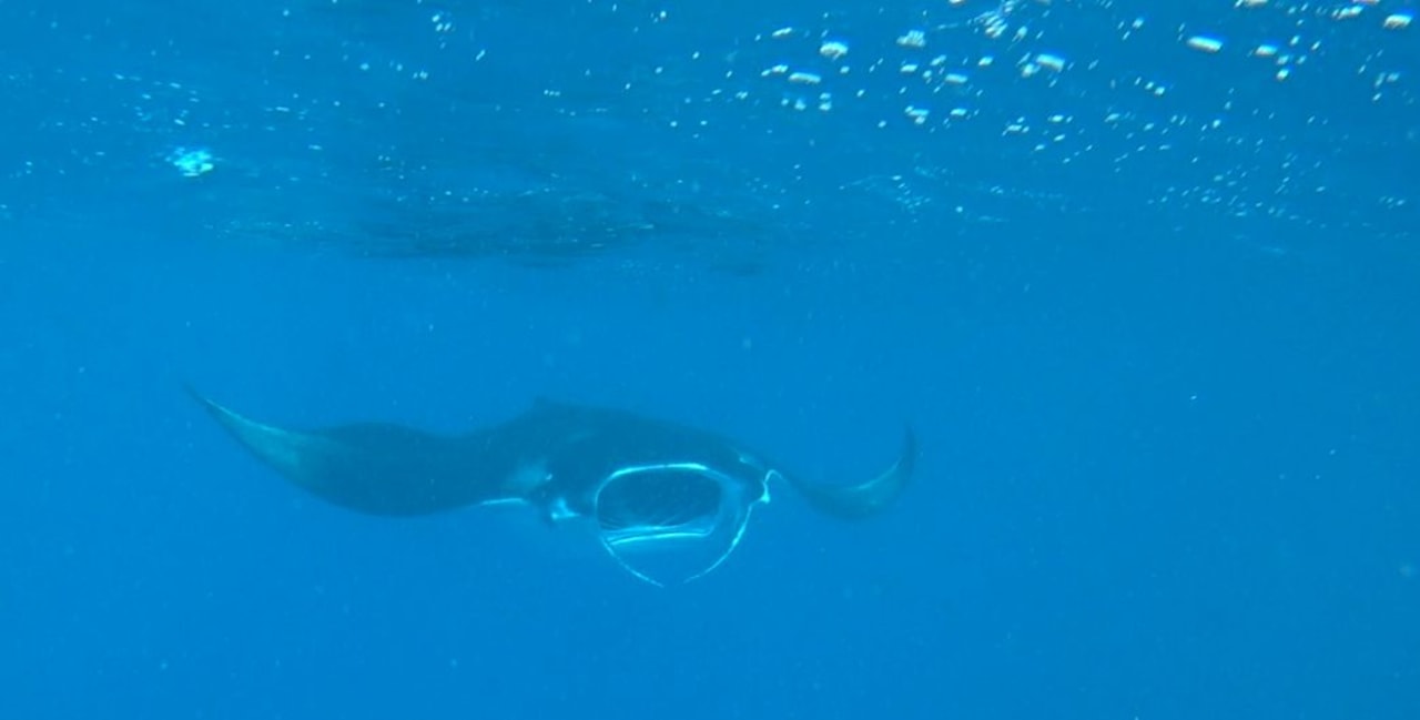 Strand Adaaran Select Meedhupparu Island Resort - Premium All Inclusive