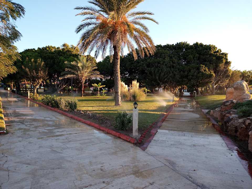 Gartenanlage Green Max Hotel