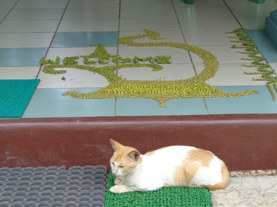 Welcome Spring of Life Ayurveda Resort