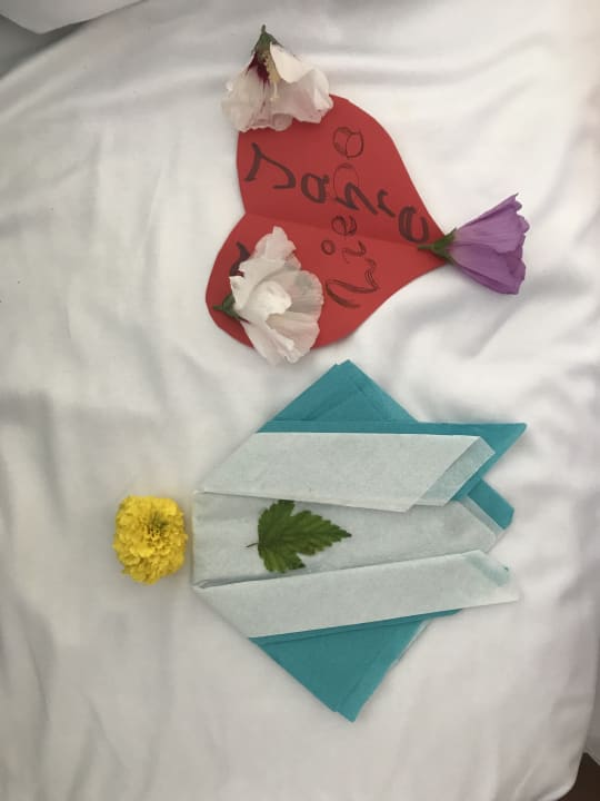 Sonstiges Hotel Borjana