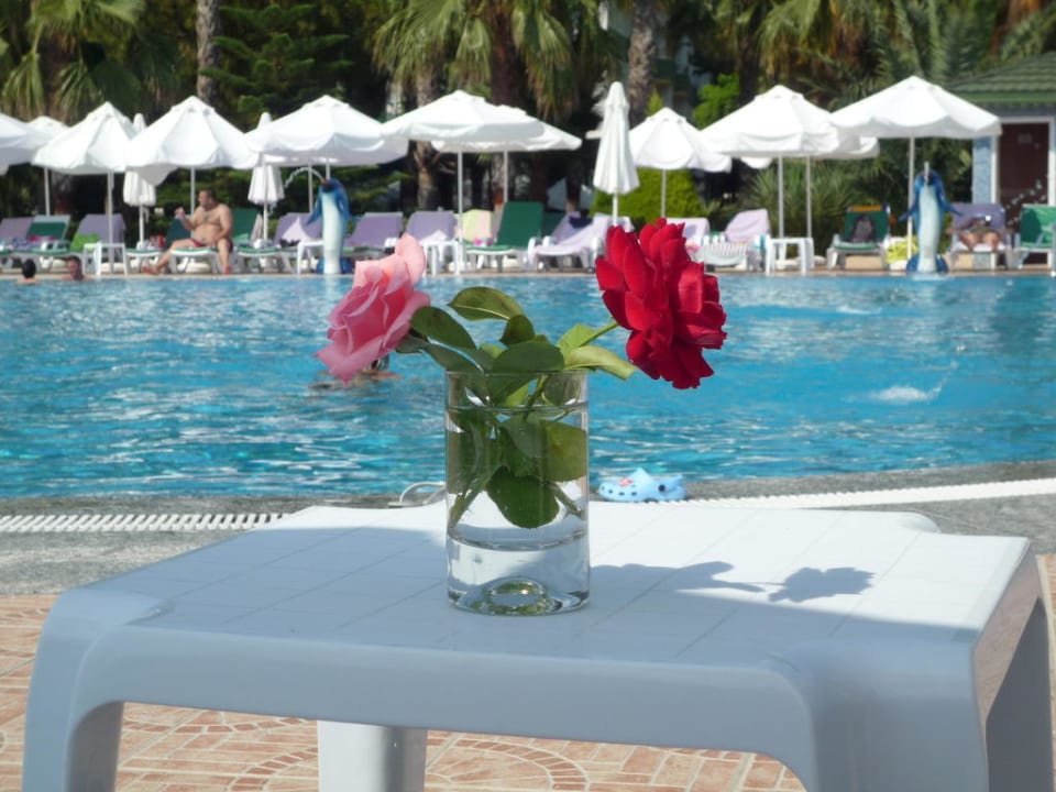 Kleine Aufmerksamkeit des Personals Botanik Hotel & Resort