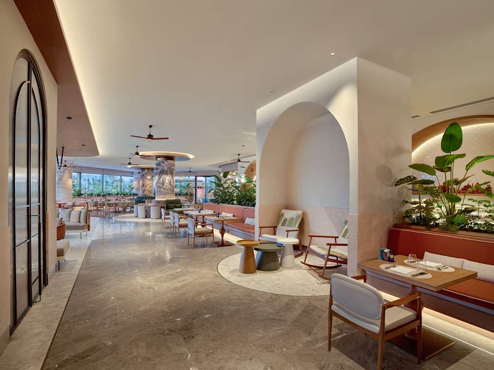 Gastro XO Cape Arnna