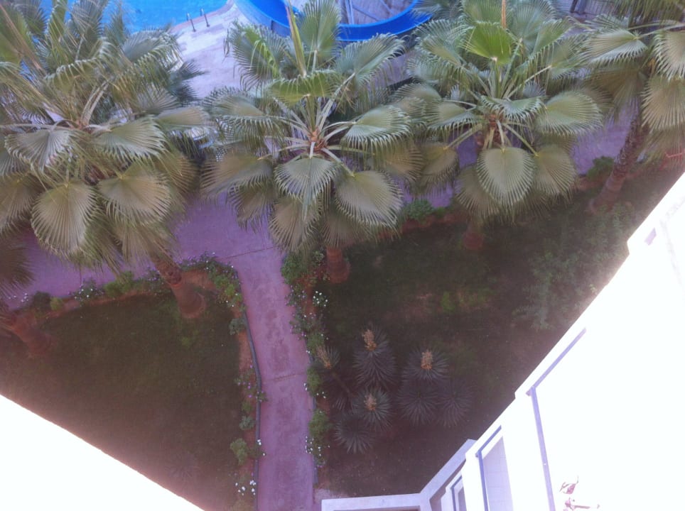 Вид из окна Club Sun Heaven Family Resort & Spa