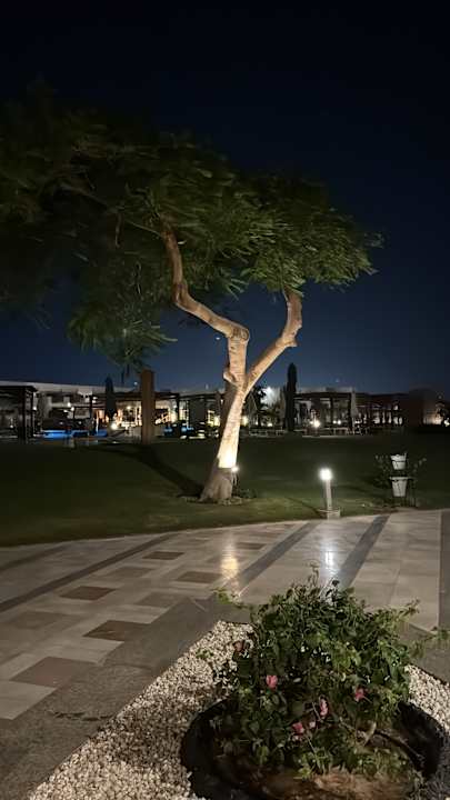 Gartenanlage SUNRISE Crystal Bay Resort