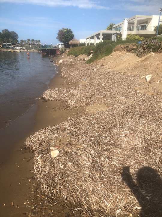 Strand Karya Family Resort  All Inclusive