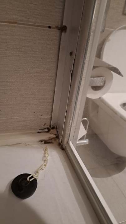 Sonstiges Kamelya Aishen Club