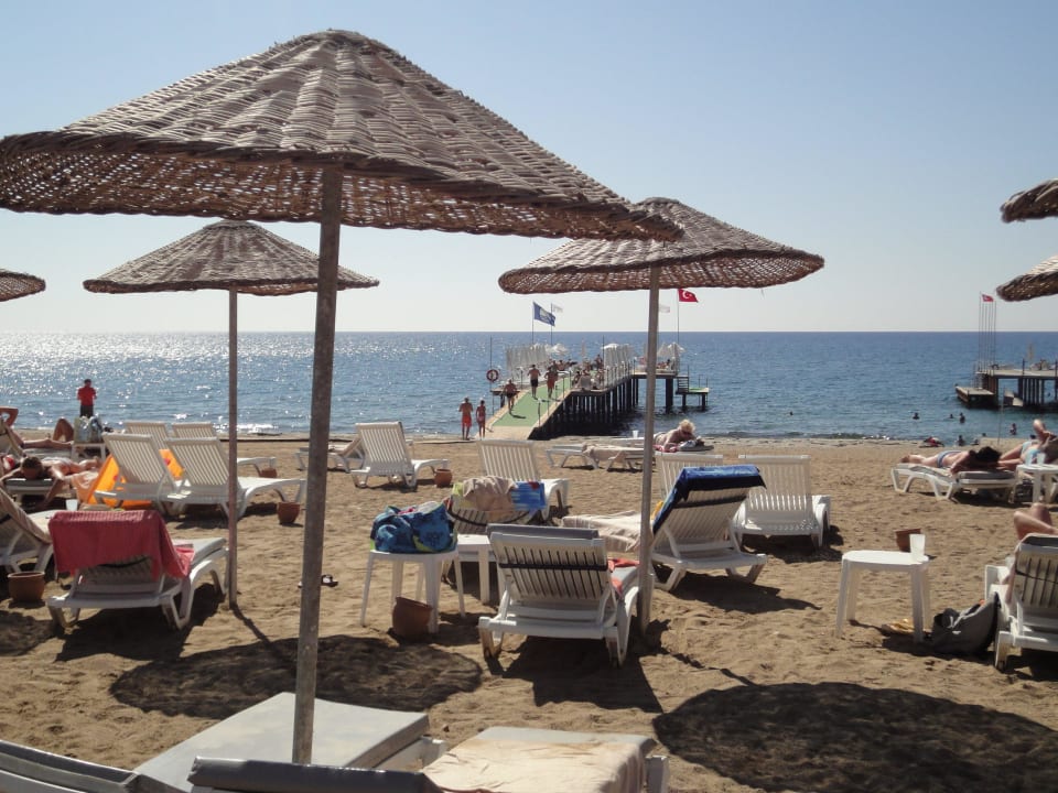 Blick zum Meer Dizalya Palm Garden