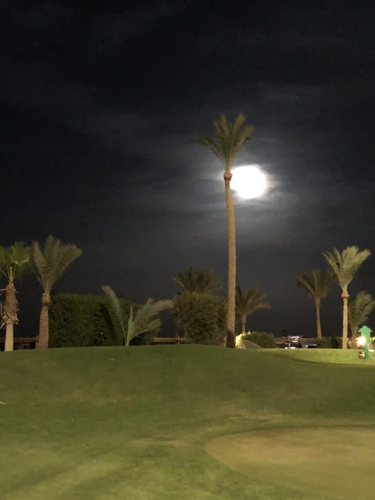 Gartenanlage Steigenberger ALDAU Beach Hotel