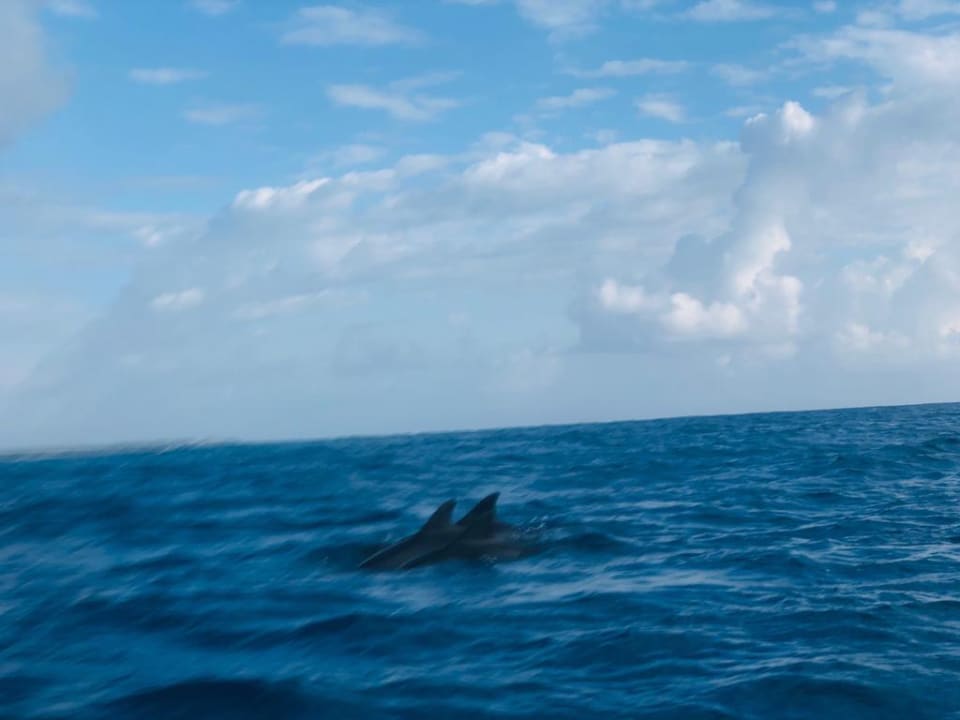 Strand Royal Zanzibar Beach Resort