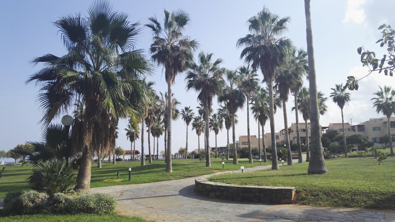 Gartenanlage Calimera Sirens Beach