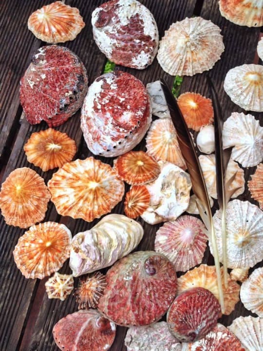 Strandgut Guesthouse Valparaiso