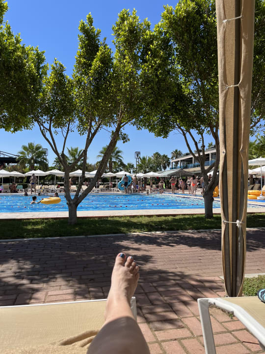 Pool TUI MAGIC LIFE Jacaranda