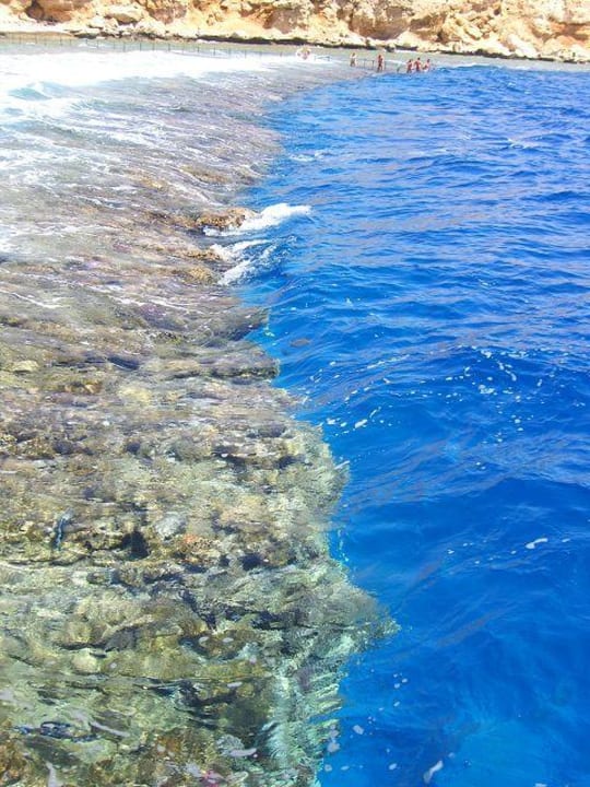 Riffkante steil abfallend Dreams Vacation Resort