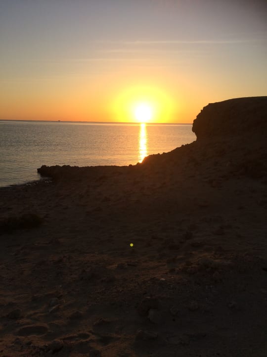 Strand Malikia Resort Abu Dabbab