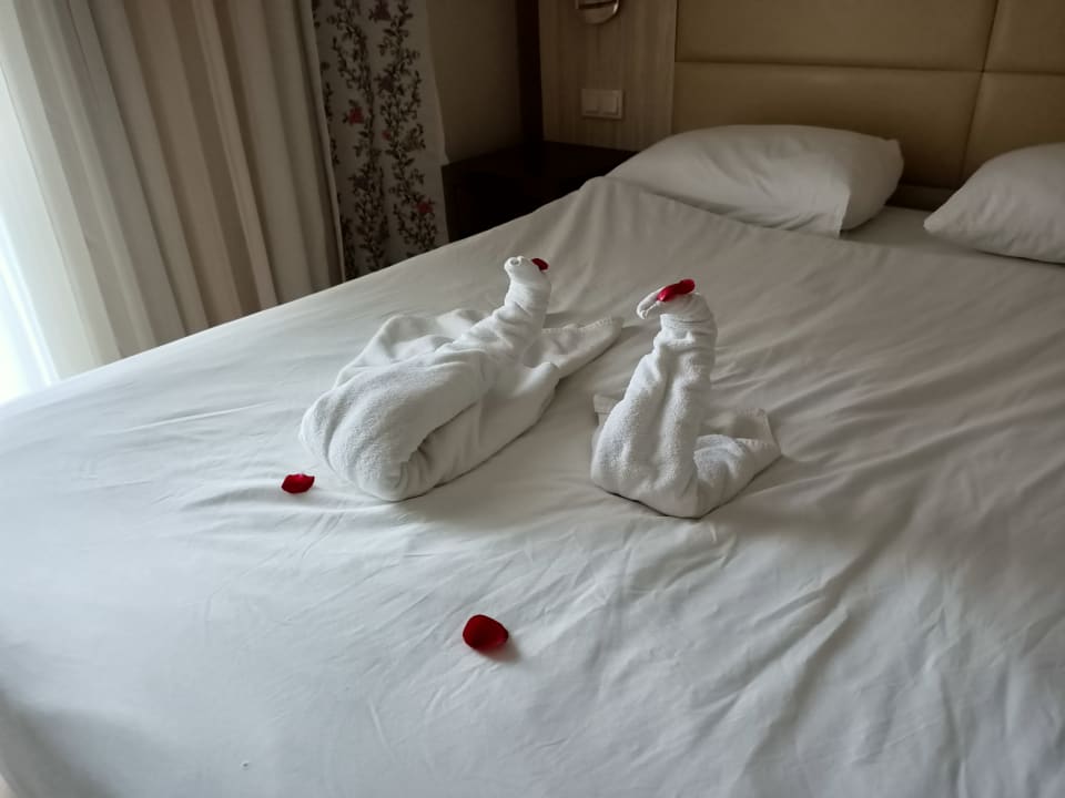 Zimmer Side Prenses Resort & Spa