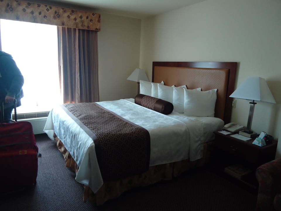 Gemütliches Bett Best Western Hotel Coyote Point Inn