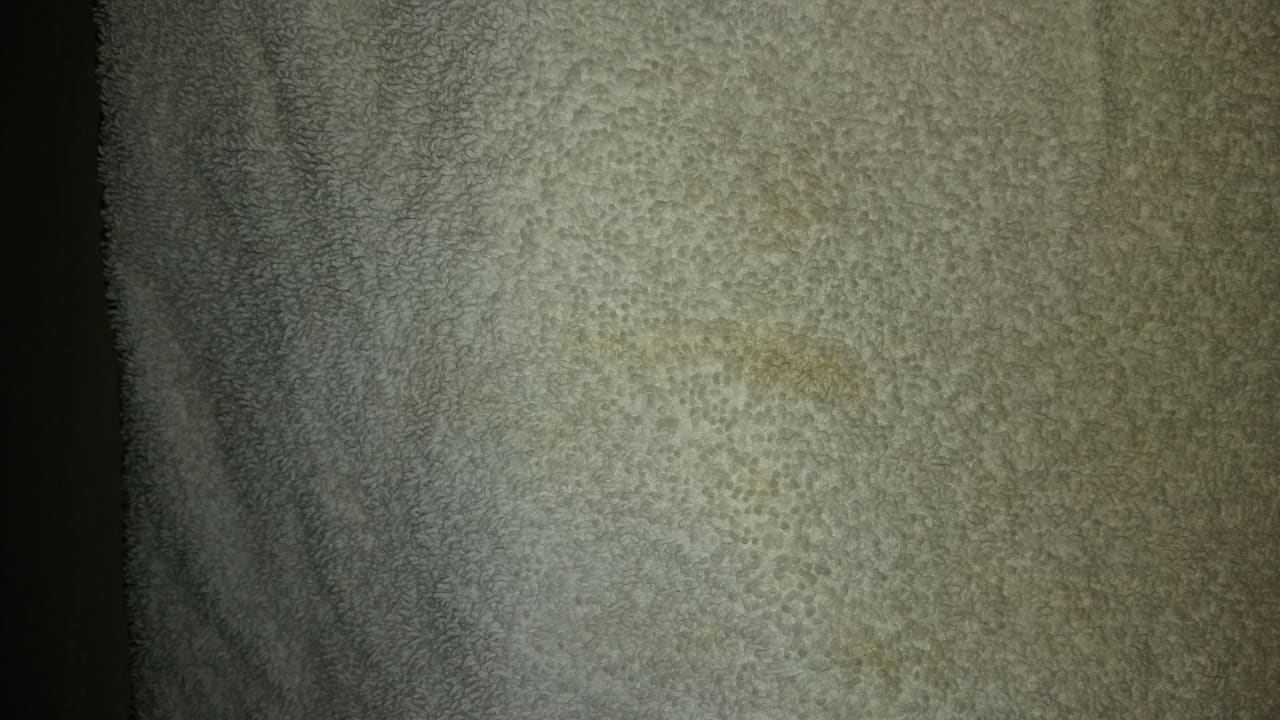 Zimmer Makadi Spa - Adults only