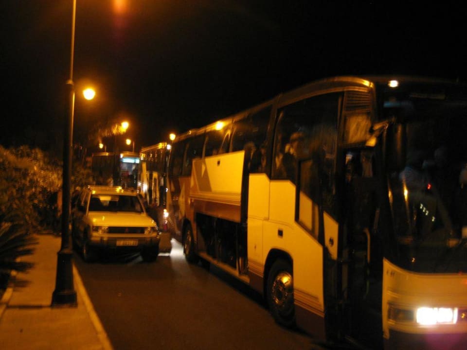 4 Uhr: acht Busse zum Hafen von Santa Cruz La Palma Princess