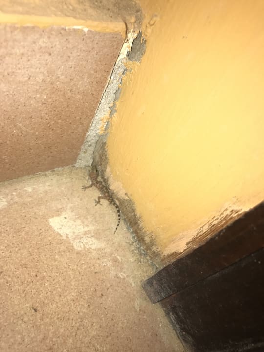 Zimmer Stella Beach Resort & Spa Makadi Bay