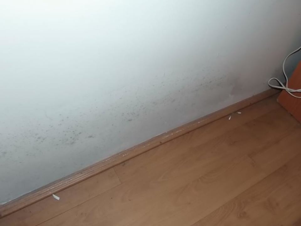 Schimmel Elternzimmer hinter Bett Hotel Kiss Family