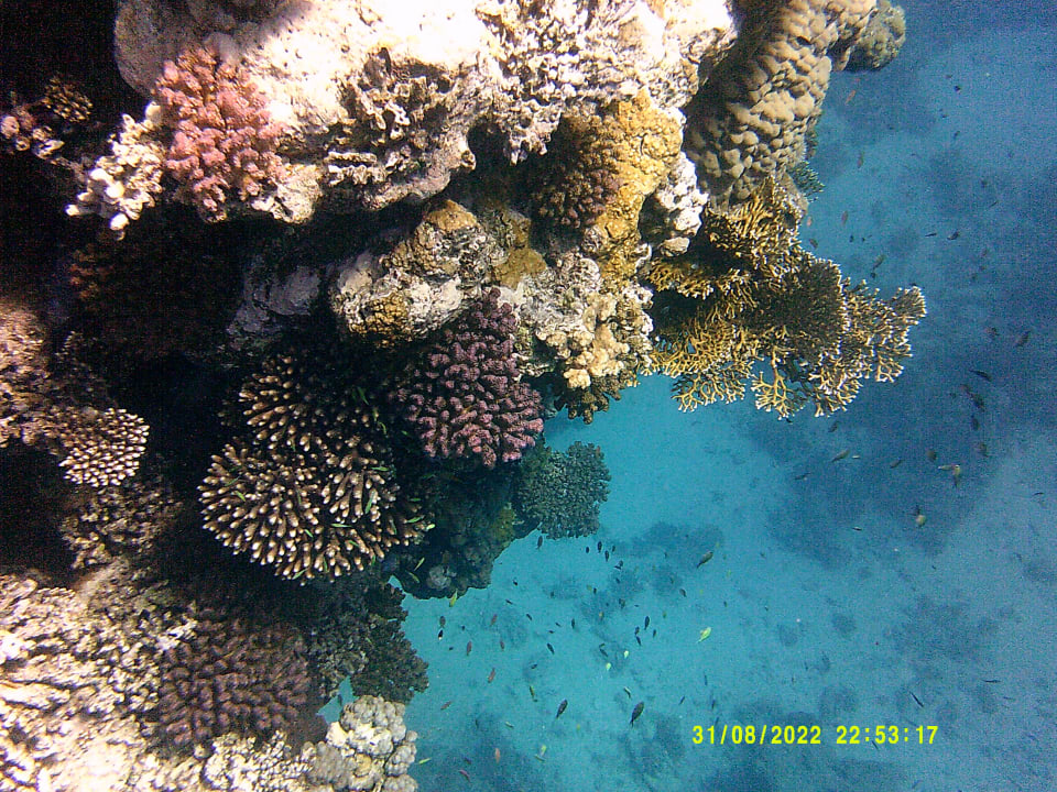 Sport & Freizeit Shams Alam Beach Resort