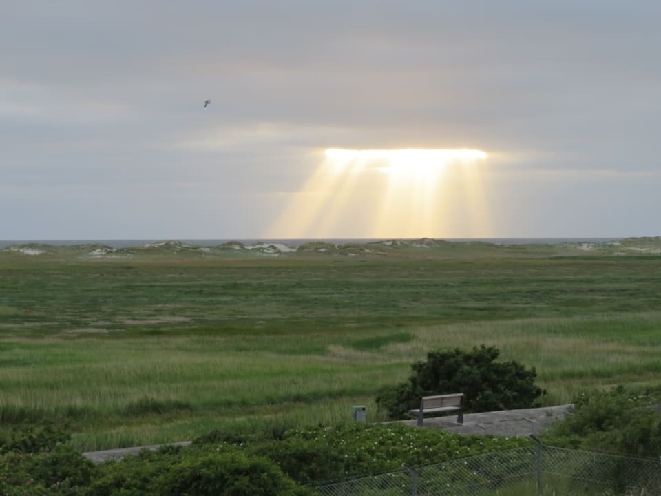 Ausblick Strandgut Resort