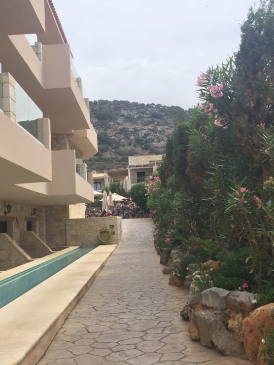 Gartenanlage Cactus Royal