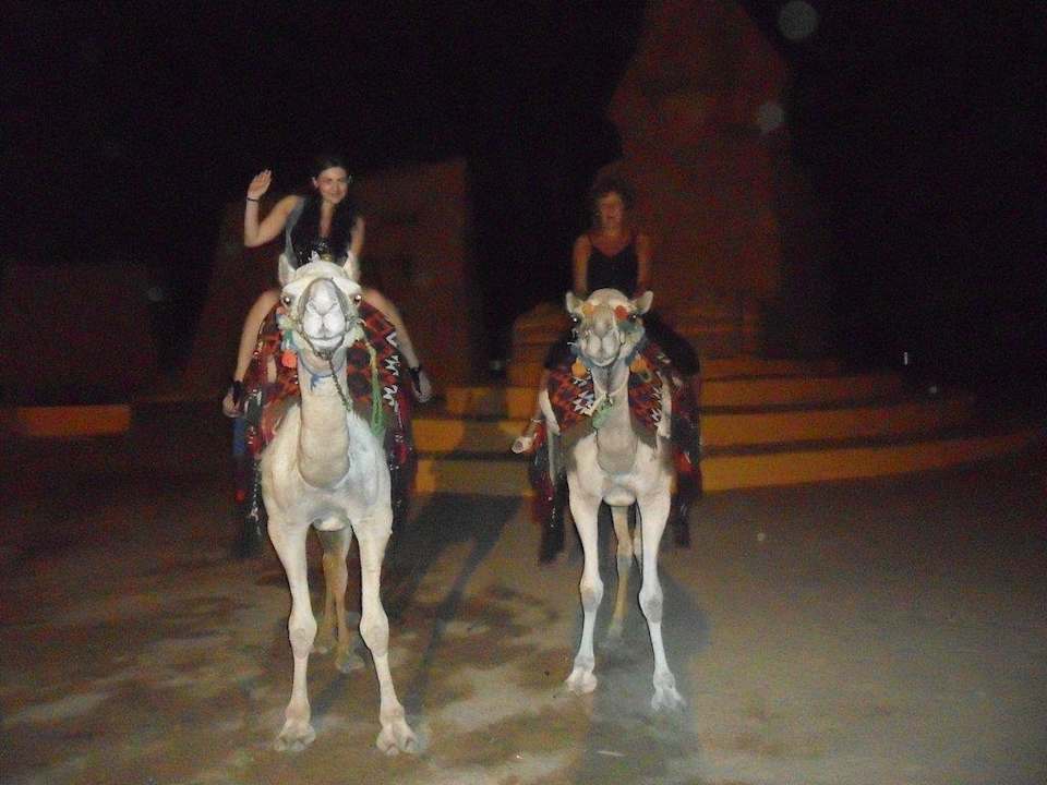 Катаемся на верблюдах Pickalbatros Alf Leila Wa Leila Resort - Neverland Hurghada