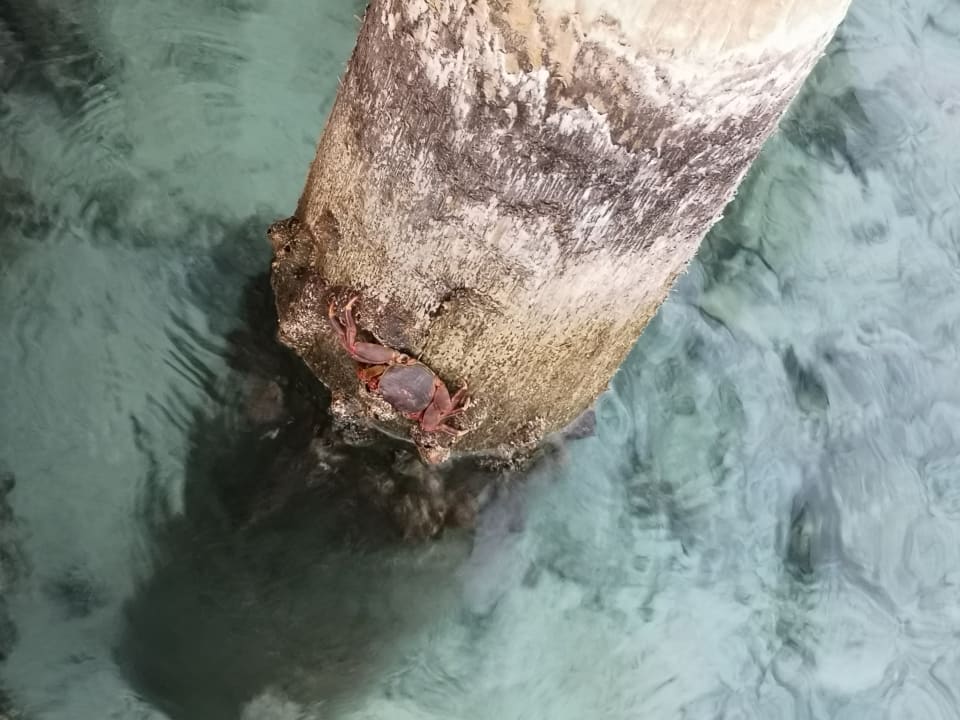 Strand The Breakers Diving & Surfing Lodge