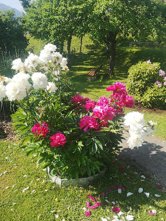 Außenansicht Panoramahotel Talhof Garni