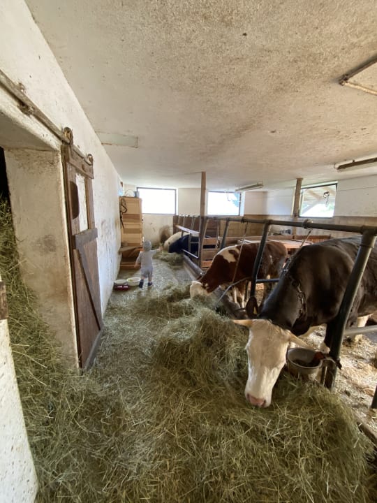 Sport & Freizeit Hotel Kompatscherhof