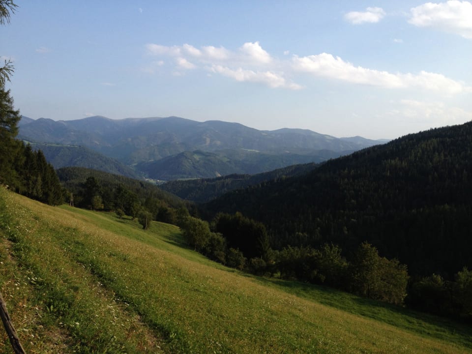 Bienenalm LUXGUT - OLIVIA